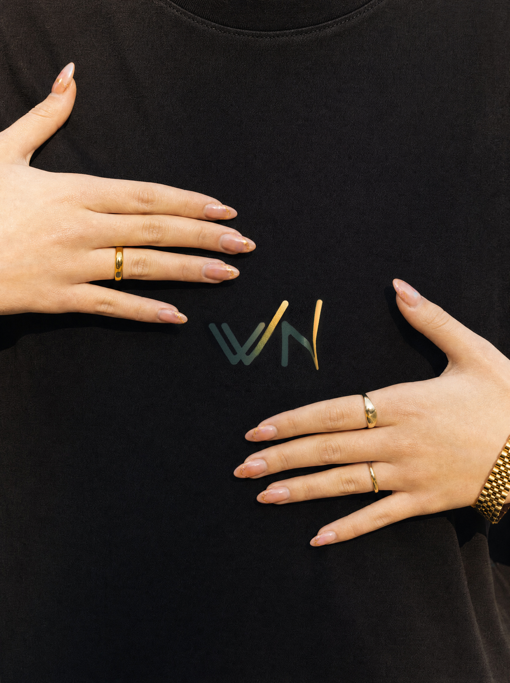 WN logo detail